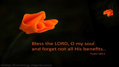Psalm 103:2 Bless The Lord Oh My Soul (black)